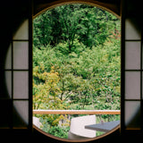 For Bruno: Samples of Kagoshima Matcha